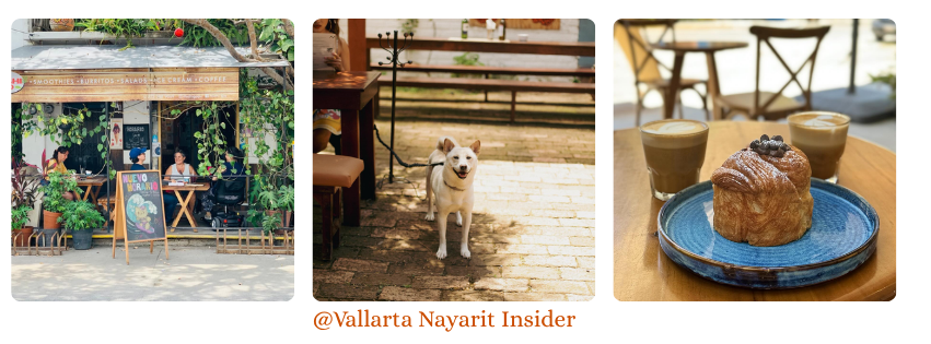 @Vallarta Nayarit Insider (2)